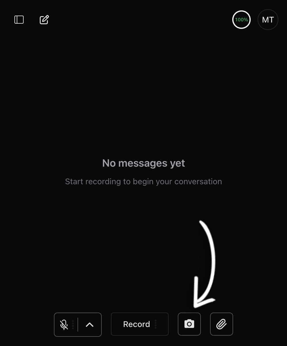 Screenshot button location in chat interface